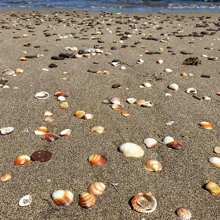 Casa Clami * كاستيلساردو