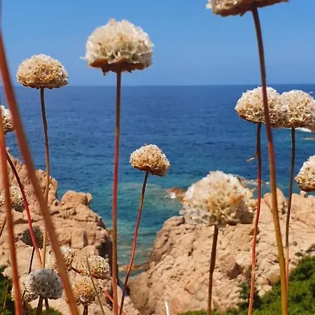 Apartment Casa Clami