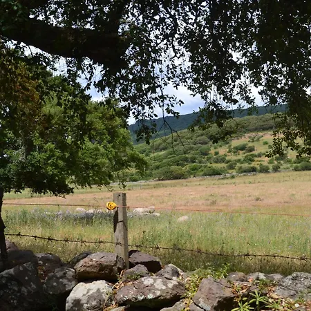 Apartment Casa Clami