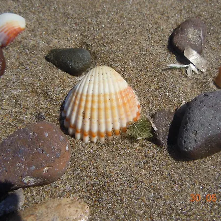 Daire Casa Clami Castelsardo